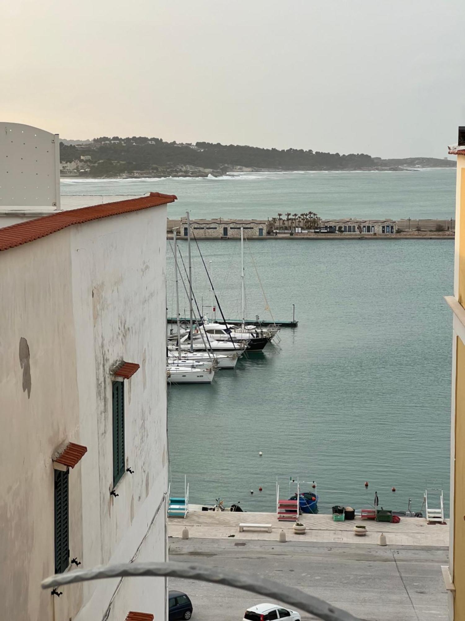 North Wind Luxury Home Vieste Extérieur photo